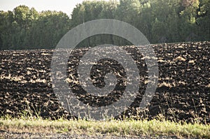 Agricultural field that was plowed furrows for planting potatoes. Spring. blue sky