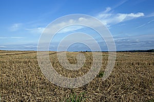 agricultural field on which stubble wheat remained