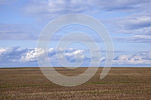 agricultural field on which stubble wheat remained