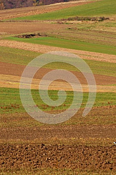 Agricultural fields