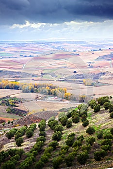 Agricultural fields