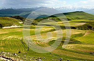 Agricultural fields of Armenia