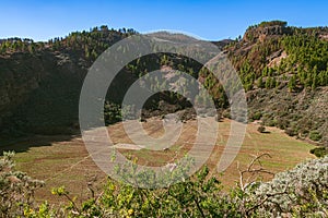 Agricultural Fields In The Caldera Los Marteles photo