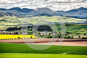 Agricultural fields in the countryside