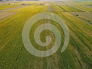 Agricultural fields in Dobrogea