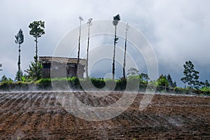 Agricultural fields emit smoke