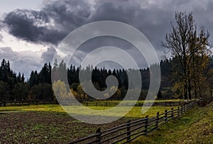 Agricultural fields in forest on cloudy day