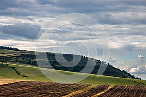 Agricultural fields, meadows, cows and grass hills.