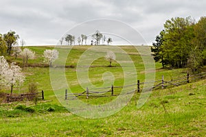 Wooden fence on hillside in the rural area