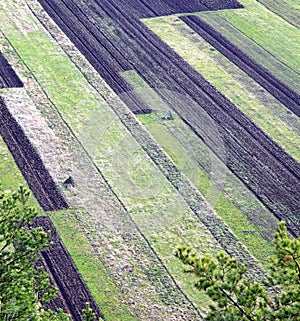 Agricultural fields