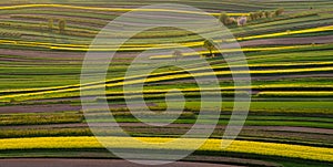 Agricultural fields in Roztocze. Poland.