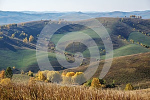 Agricultural fields in the Siberian hills, haymaking