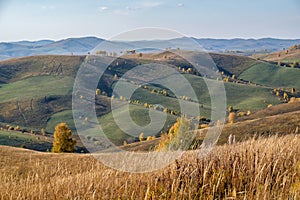 Agricultural fields in the Siberian hills, haymaking