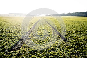 Agricultural fields. Spring time. Traces in land from the tractor. Sunset