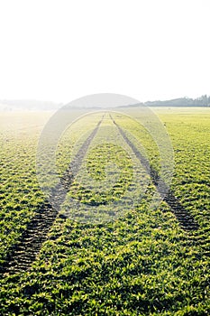 Agricultural fields. Spring time. Traces in land from the tractor. Sunset