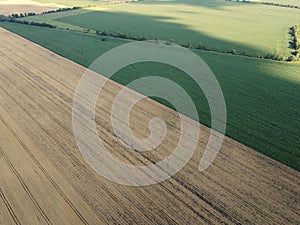 Agricultural fields, top view. Farmed fields, bird`s-eye view of the landscape