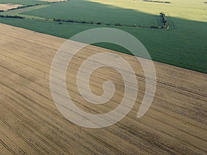 Agricultural fields, top view. Farmed fields, bird`s-eye view of the landscape