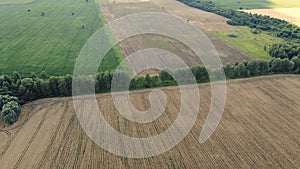 Agricultural fields, top view. Farmed fields, bird`s-eye view of the landscape