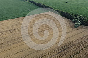 Agricultural fields, top view. Farmed fields, bird`s-eye view of the landscape