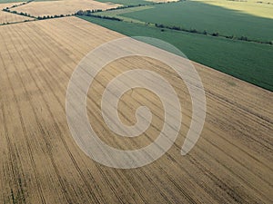 Agricultural fields, top view. Farmed fields, bird`s-eye view of the landscape