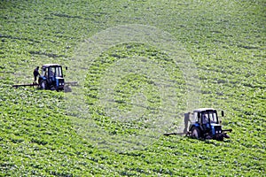 Agricultural fieldwork, two tractors weeding field