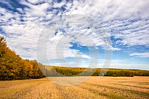 Agricultural forested countryside autumn landscape