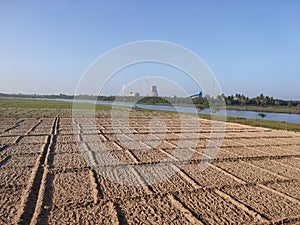 Agricultural forming land near to the river photo