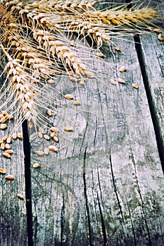 Agricultural frame with wheat