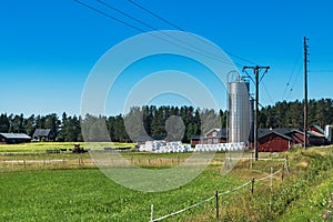 Agricultural green farm field, landscape in Sweden