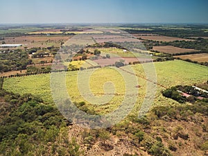 Agricultural green fields