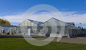 Agricultural Green House