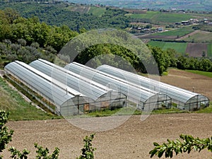 Agricultural greenhouses