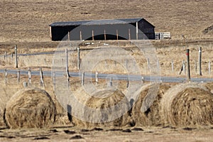 Agricultural hangar in capcir, Pyrenees