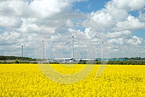 Agricultural hangar and wind turbine in rapeseed field