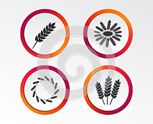 Agricultural icons. Gluten free symbols.