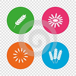 Agricultural icons. Gluten free symbols.