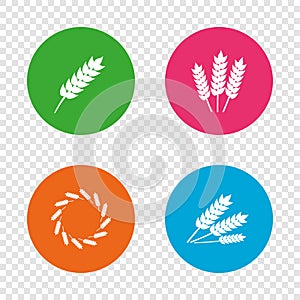 Agricultural icons. Gluten free symbols.