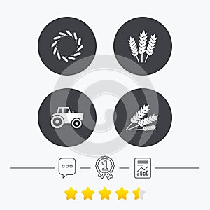 Agricultural icons. Wheat corn or Gluten free.