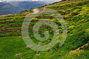 Agricultural Inca Terraces at Moray, Peru photo