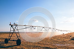 Agricultural irrigation on harvested wheat stubble field