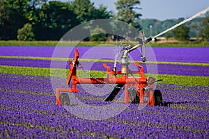 An agricultural irrigation system