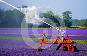 An agricultural irrigation system