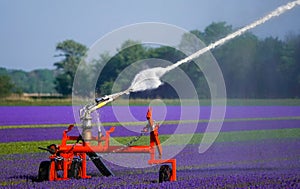 An agricultural irrigation system