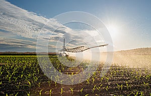 Agricultural irrigation system watering corn field