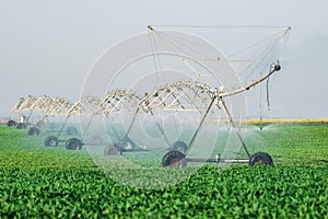 Agricultural irrigation system watering field on summer day.