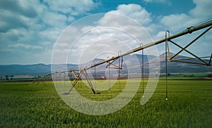 Agricultural irrigation system watering a green wheat field