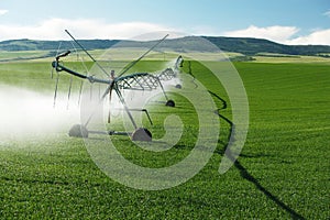 An agricultural irrigation system in a wheat field