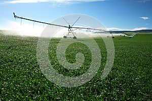 An agricultural irrigation system in a wheat field