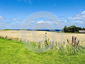 Agricultural land close to the sea