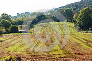 Agricultural land with fertile soil in Asturias